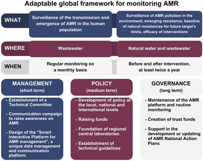Towards monitoring the invisible threat: a global approach for tackling AMR in water resources and environment